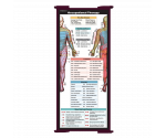 WhiteCoat Clipboard® Trifold - Wine Occupational Therapy Edition